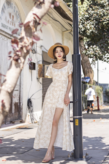 ODENA SIDE SLIT MAXI DRESS (BEIGE FLORAL)