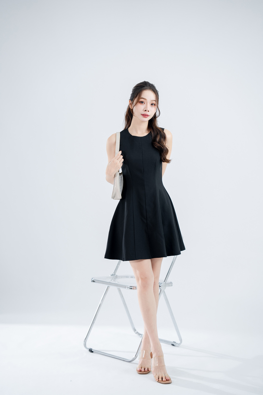 CASEY ROUND NECK FLARED DRESS (BLACK)