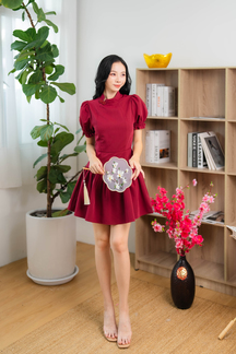 ALLES MANDARIN COLLAR MINI DRESS (RED)