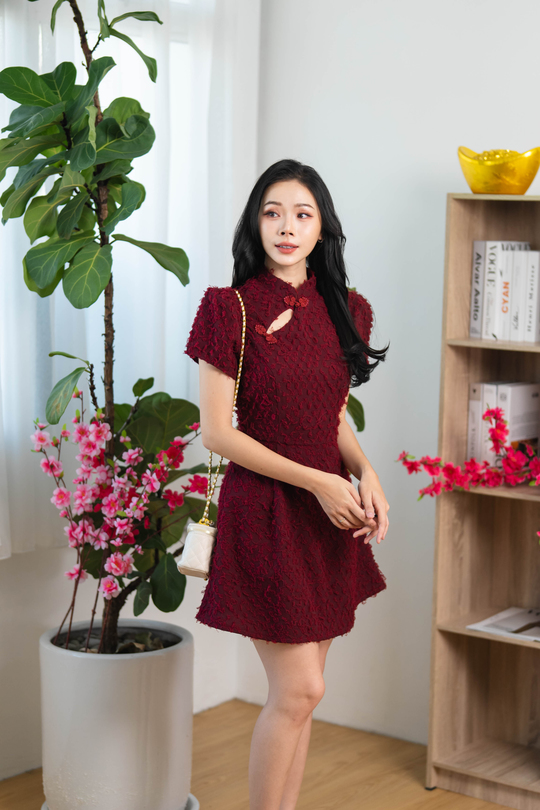 WENN CHEONGSAM DRESS (FURRY RED)